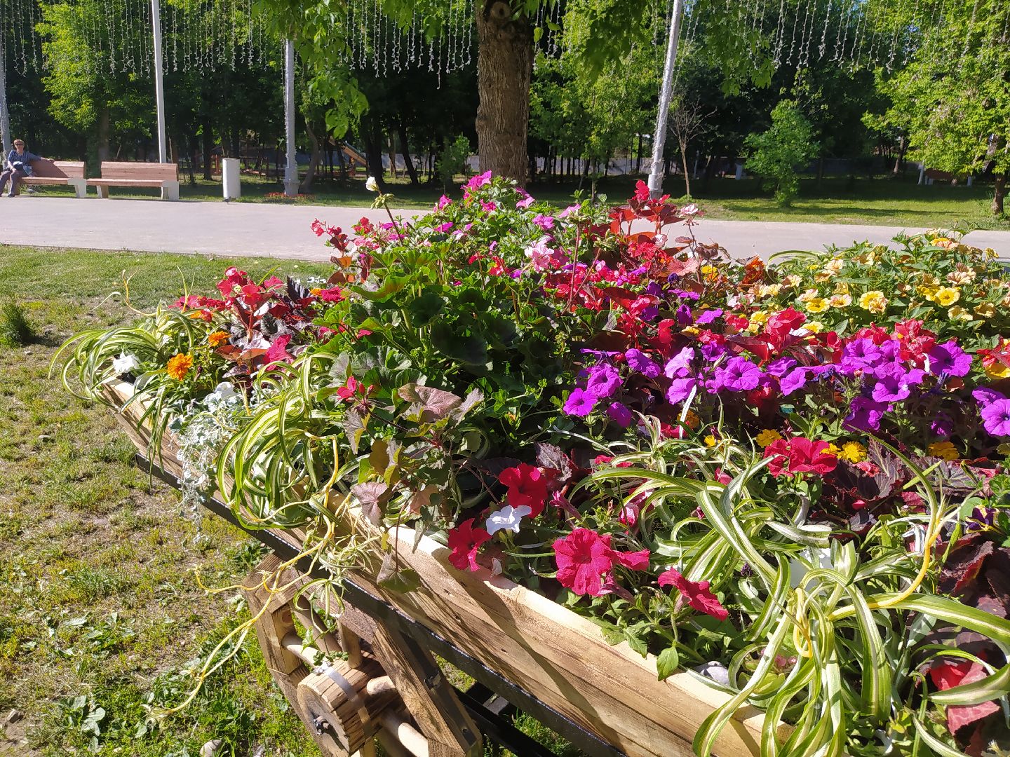 Истра, парк, фотозона, цветы