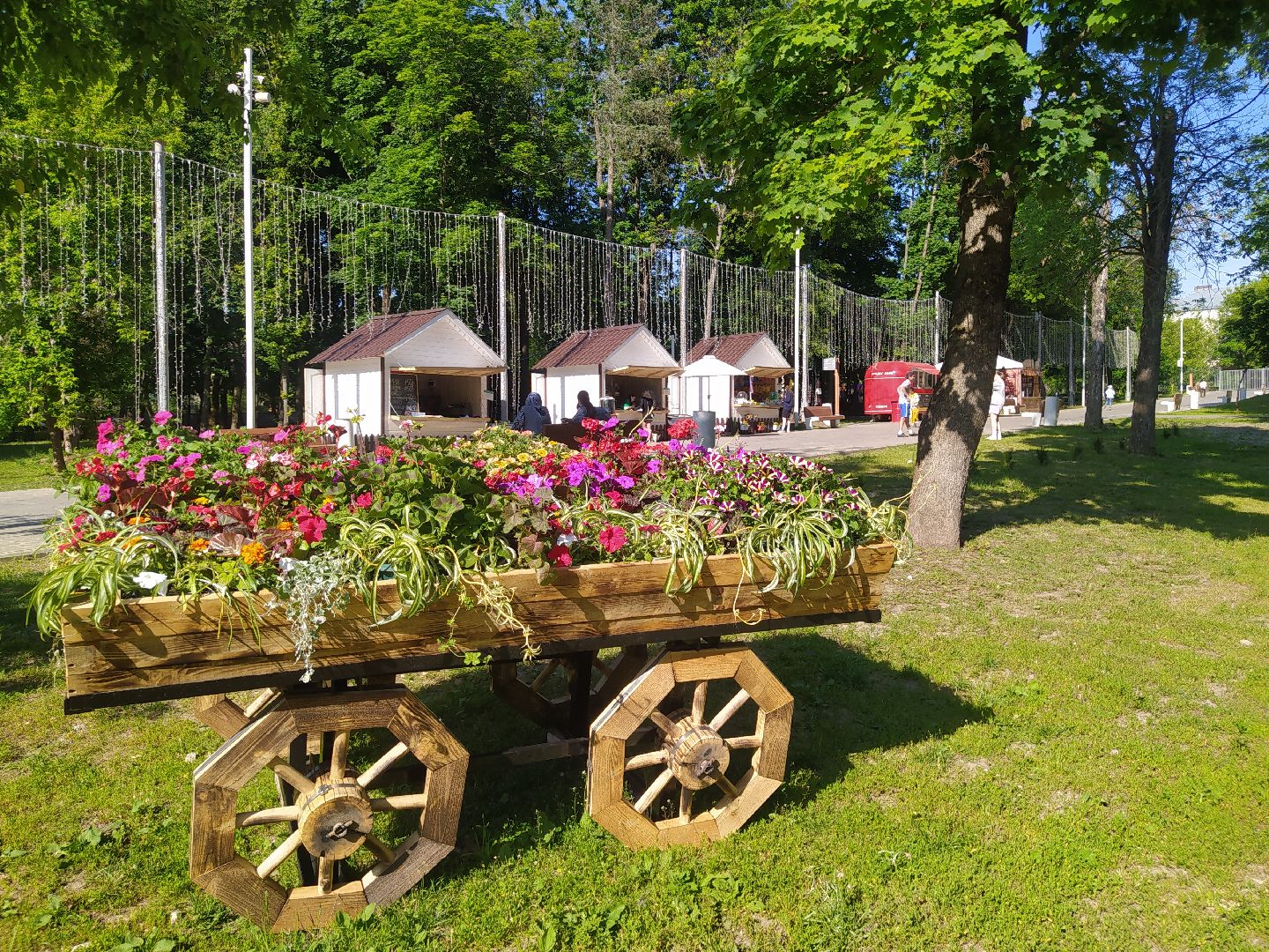 Истра, парк, фотозона, цветы