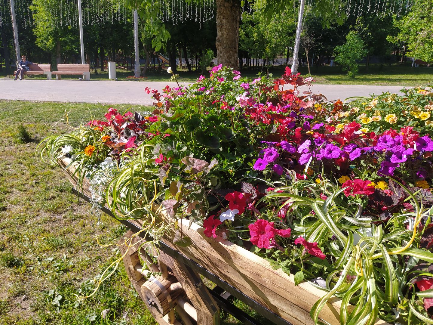 Истра, парк, фотозона, цветы