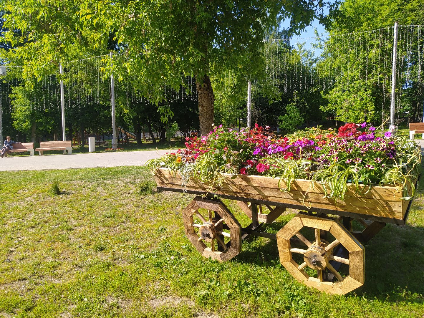 Истра, парк, фотозона, цветы