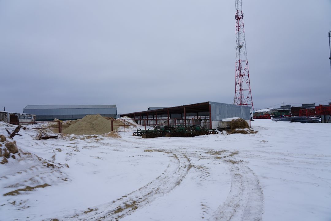 Щелково, бизнес