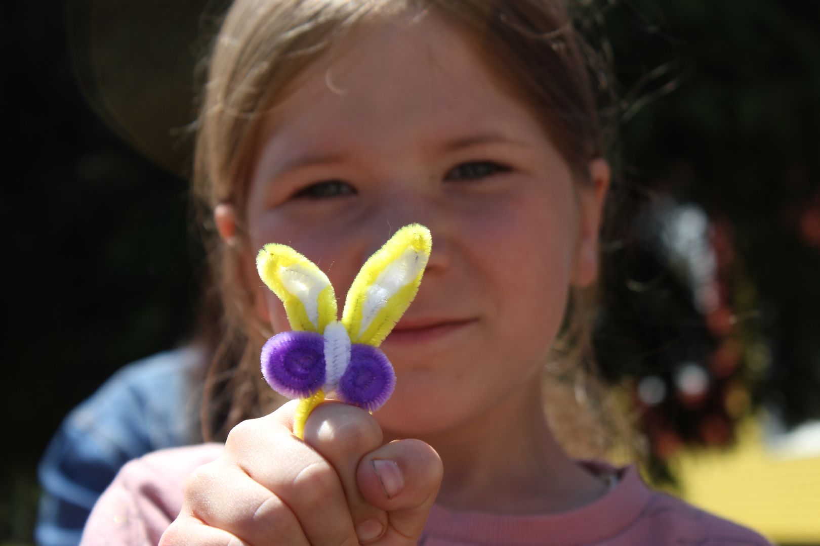 Ступино, Старая Ситня, день села