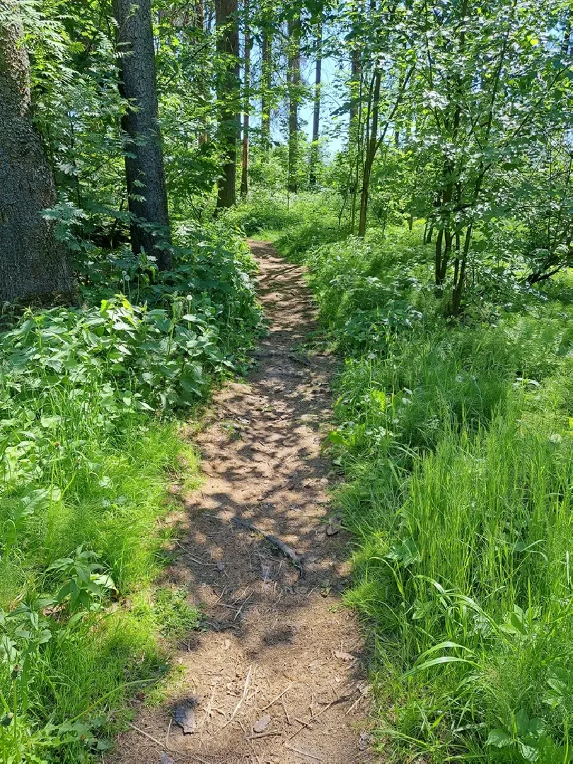 Руза, Тучково, благоустройство, народные тропы, пешеходные дорожки