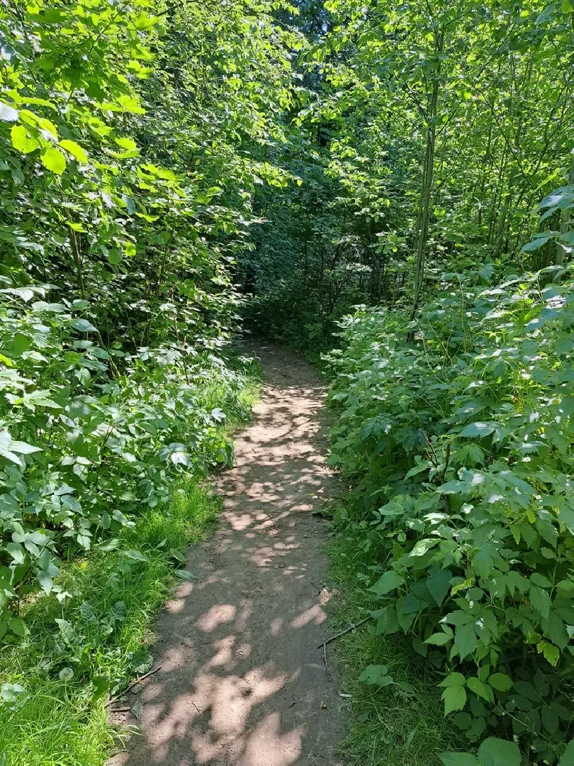 Руза, Тучково, благоустройство, народные тропы, пешеходные дорожки