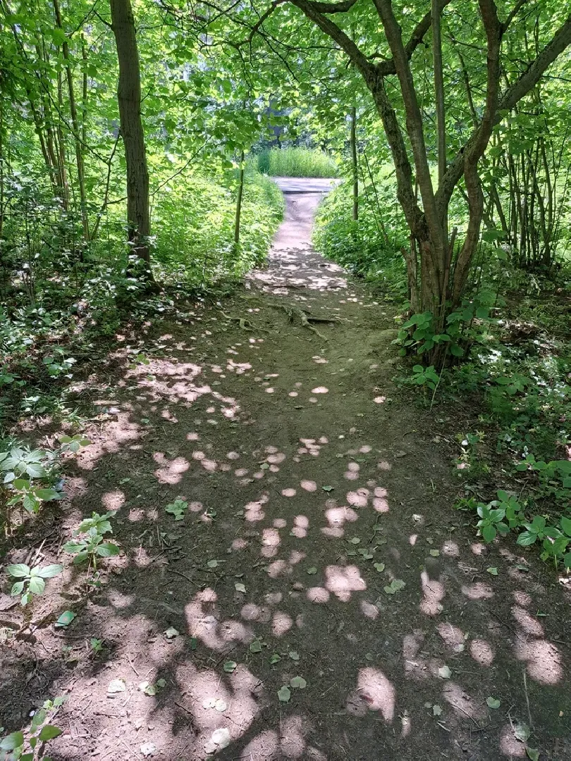 Руза, Тучково, благоустройство, народные тропы, пешеходные дорожки