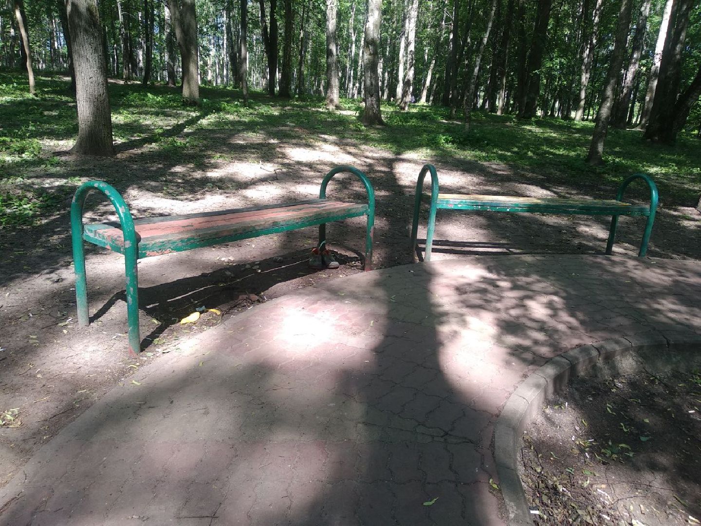 Дмитров, Березовая роща, Минблаго МО