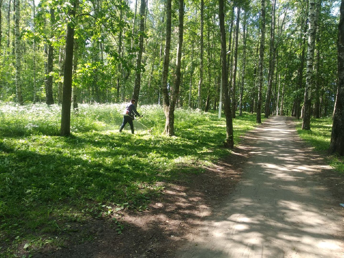 Дмитров, Березовая роща, Минблаго МО