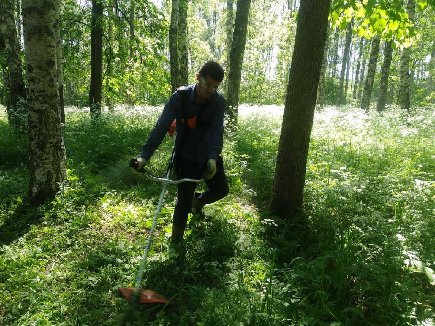 Дмитров, Березовая роща, Минблаго МО