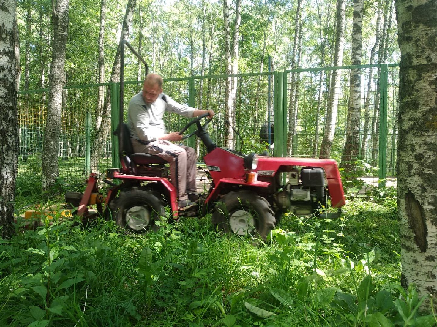 Дмитров, Березовая роща, Минблаго МО