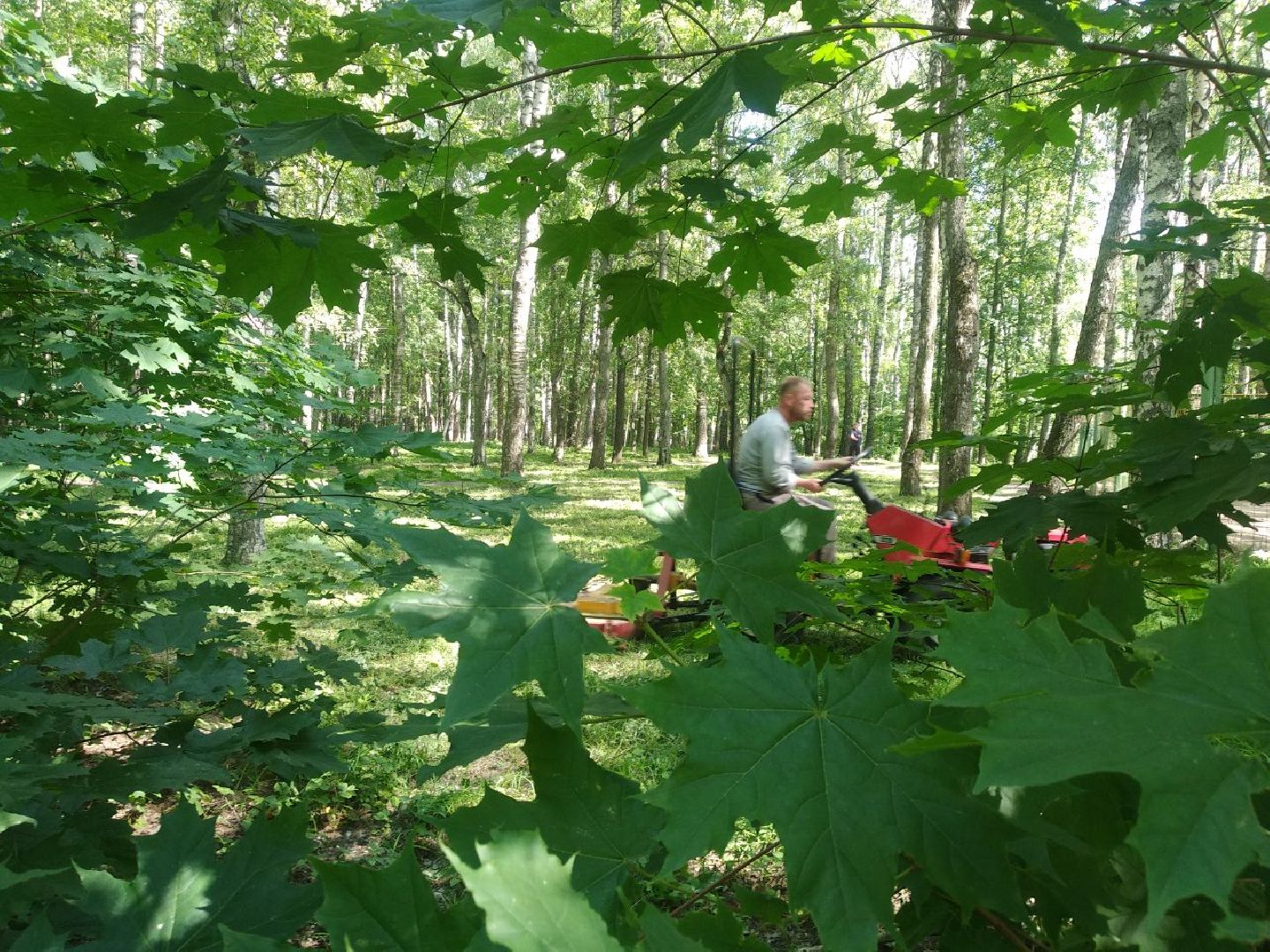 Дмитров, Березовая роща, Минблаго МО