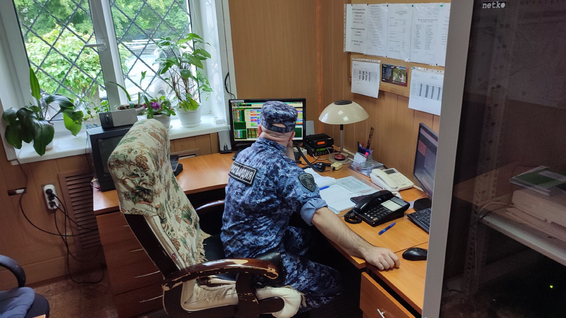 Кашира, Росгвардия, донорская акция, доноры, кровь