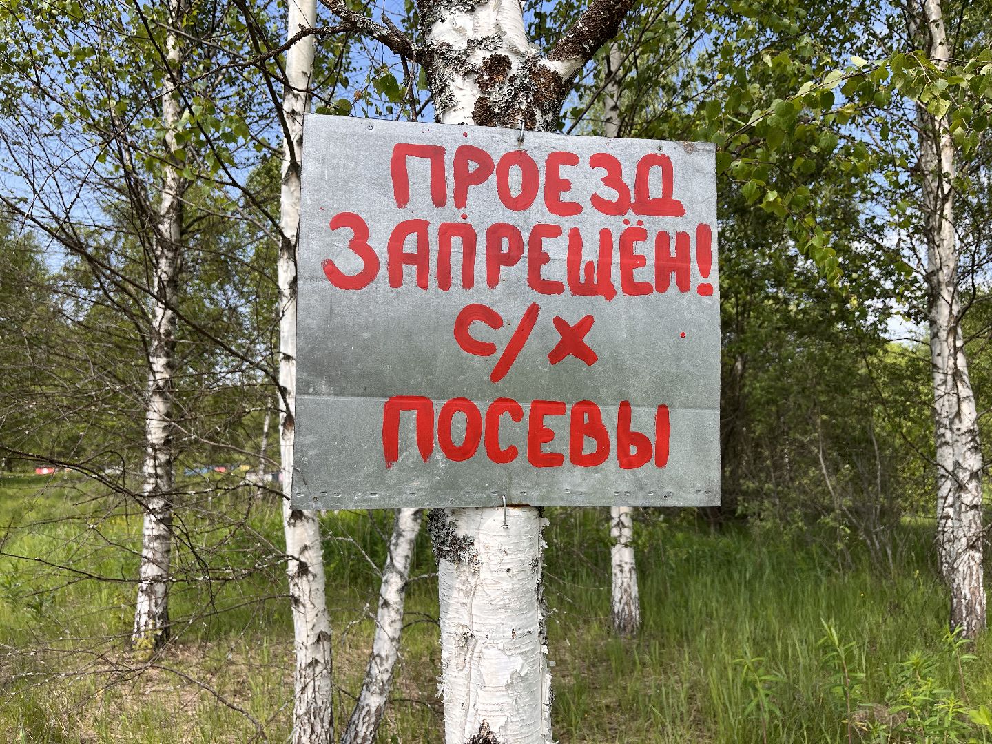 Шаховская, пчелы, мед