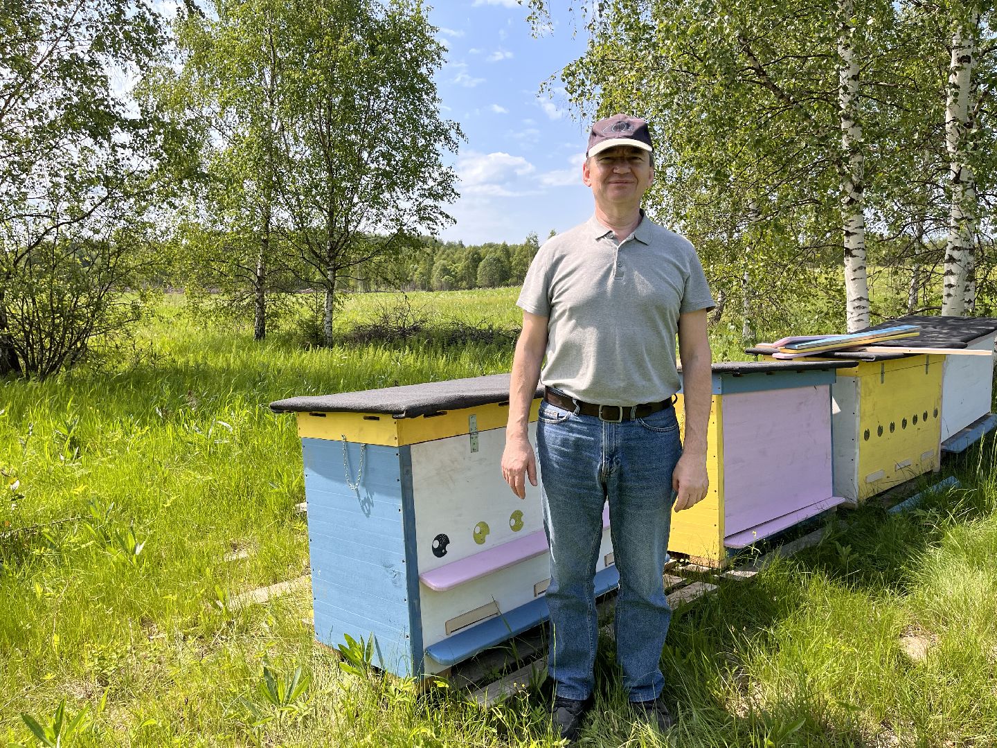 Шаховская, пчелы, мед