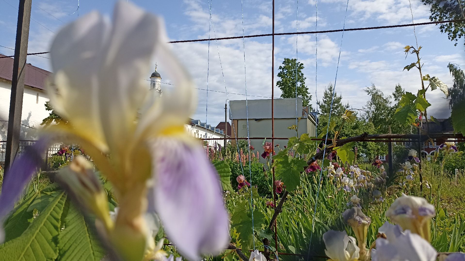 Серпухов, Подмосковье, история, Георгий Победоносец, Неупиваемая Чаша