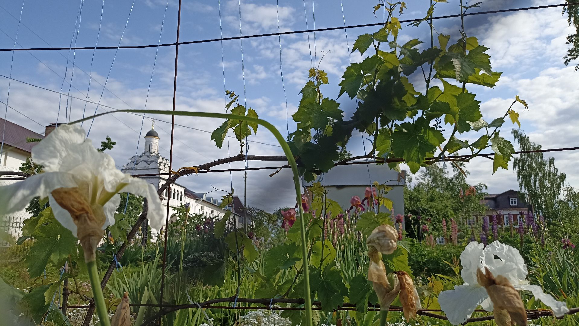 Серпухов, Подмосковье, история, Георгий Победоносец, Неупиваемая Чаша