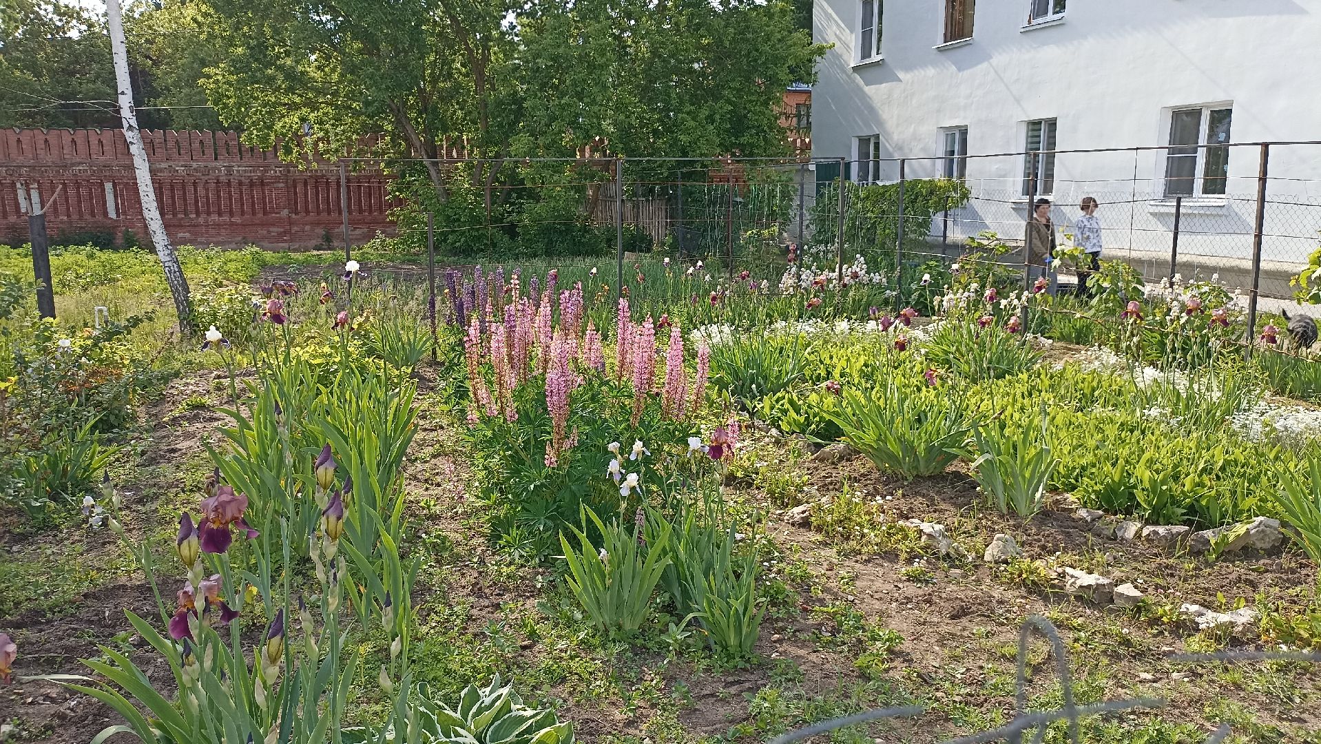 Серпухов, Подмосковье, история, Георгий Победоносец, Неупиваемая Чаша