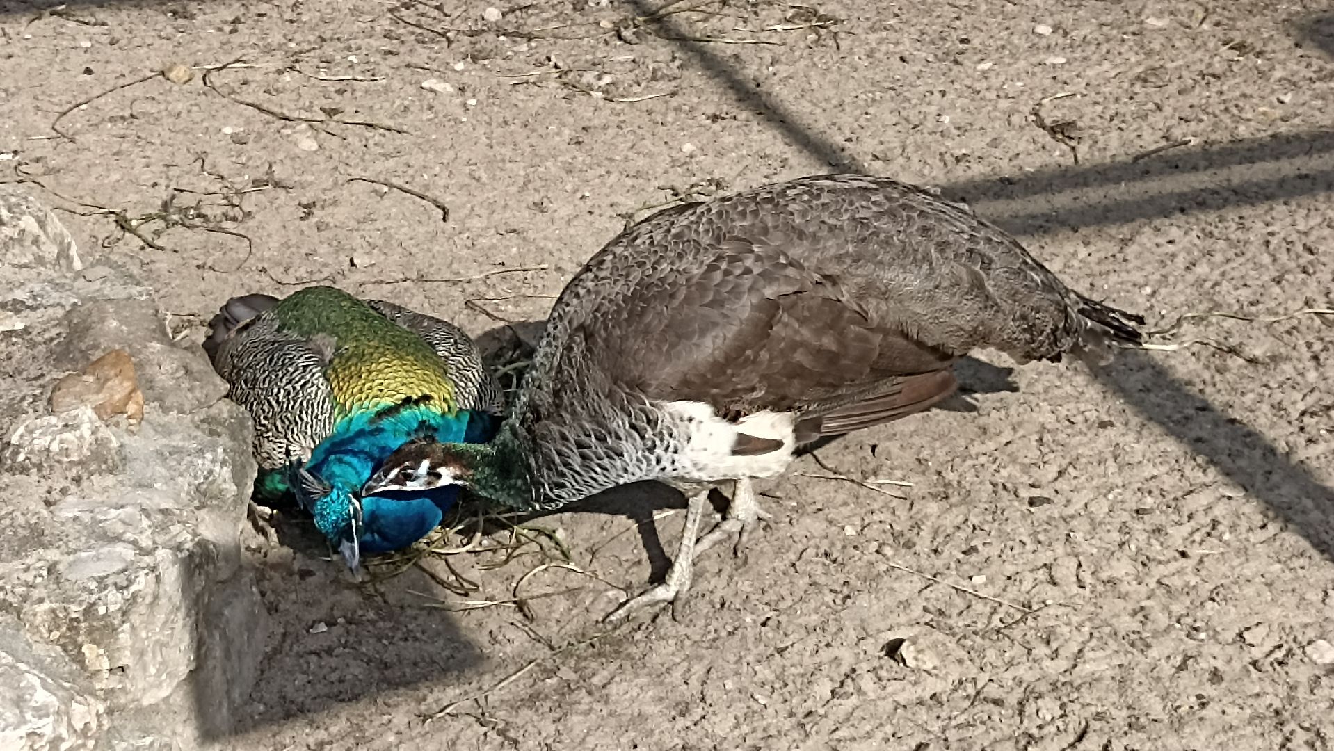 Серпухов, Подмосковье, история, Георгий Победоносец, Неупиваемая Чаша