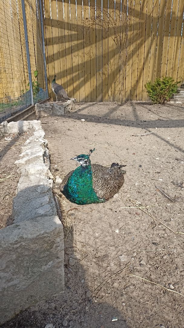 Серпухов, Подмосковье, история, Георгий Победоносец, Неупиваемая Чаша