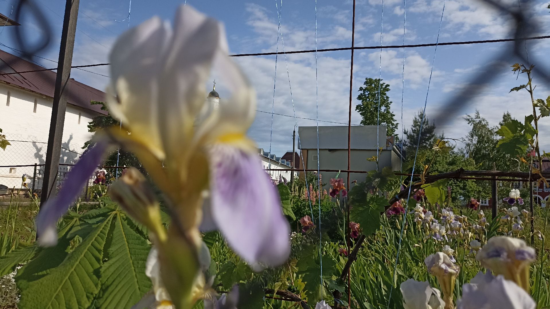 Серпухов, Подмосковье, история, Георгий Победоносец, Неупиваемая Чаша