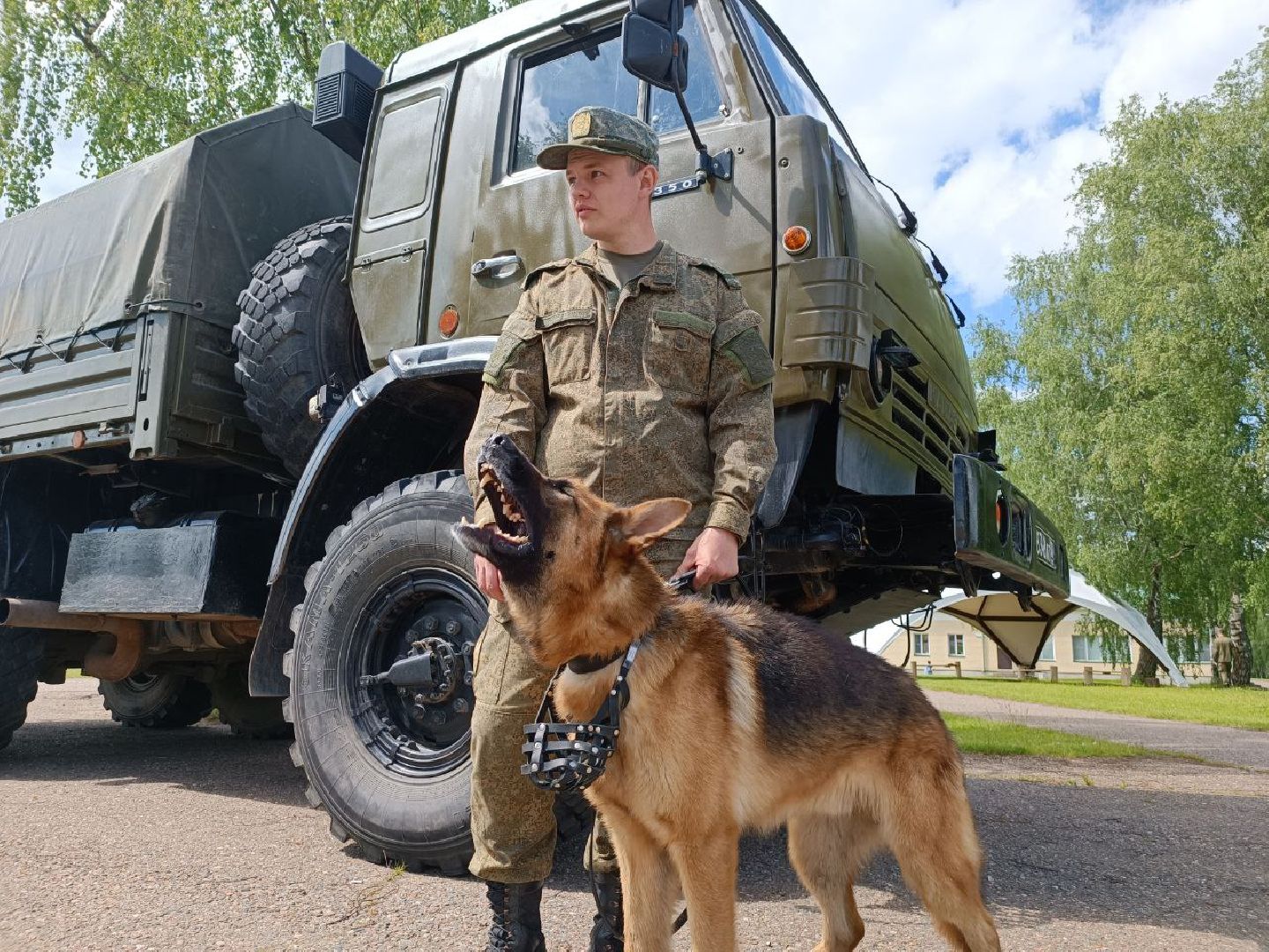 Можайск, Можайский городской округ, Подмосковье, собаки, служебные собаки, показательные выступления, несение службы, охрана территории, армия