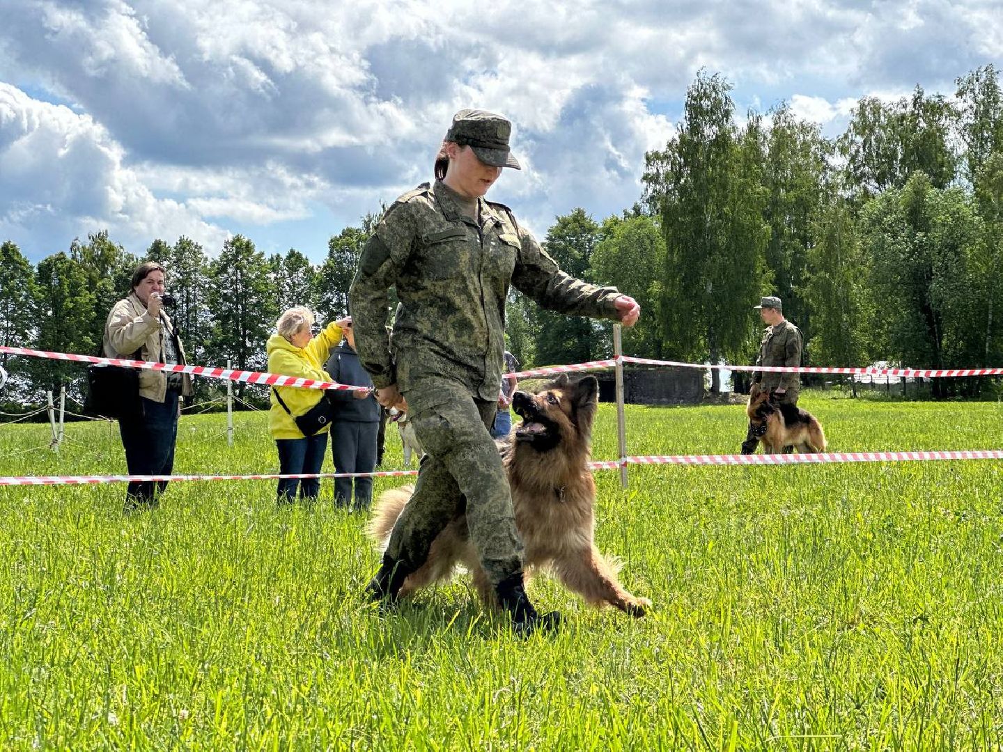 Можайск, Можайский городской округ, Подмосковье, собаки, служебные собаки, показательные выступления, несение службы, охрана территории, армия