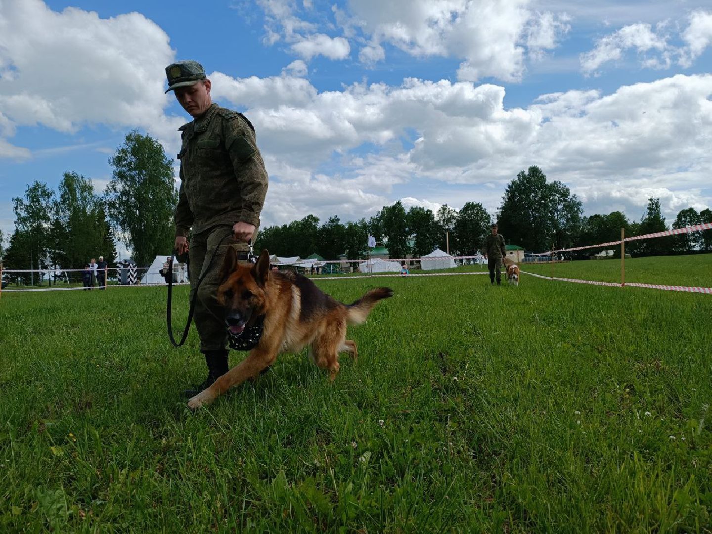 Можайск, Можайский городской округ, Подмосковье, собаки, служебные собаки, показательные выступления, несение службы, охрана территории, армия