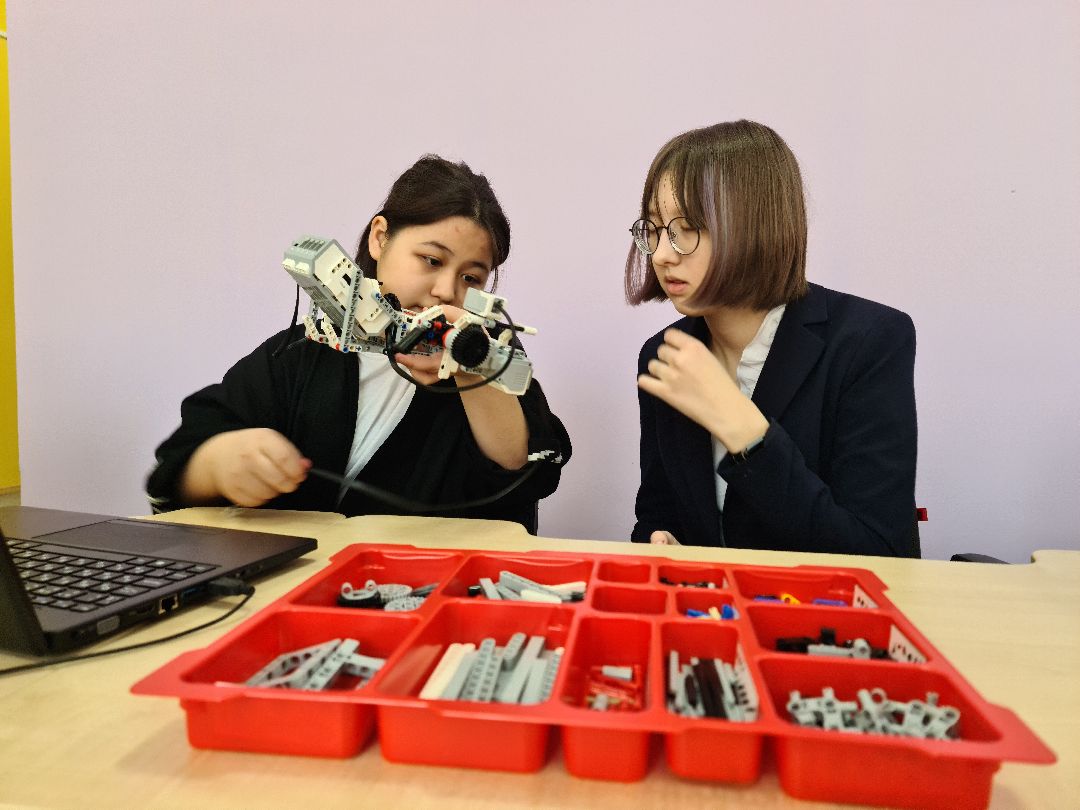 Щёлково, общество