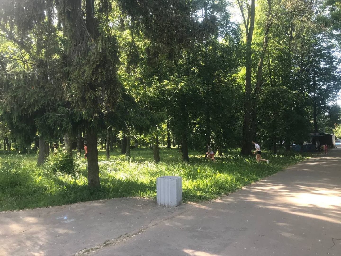 Коломна, спорт, легкая атлетика,