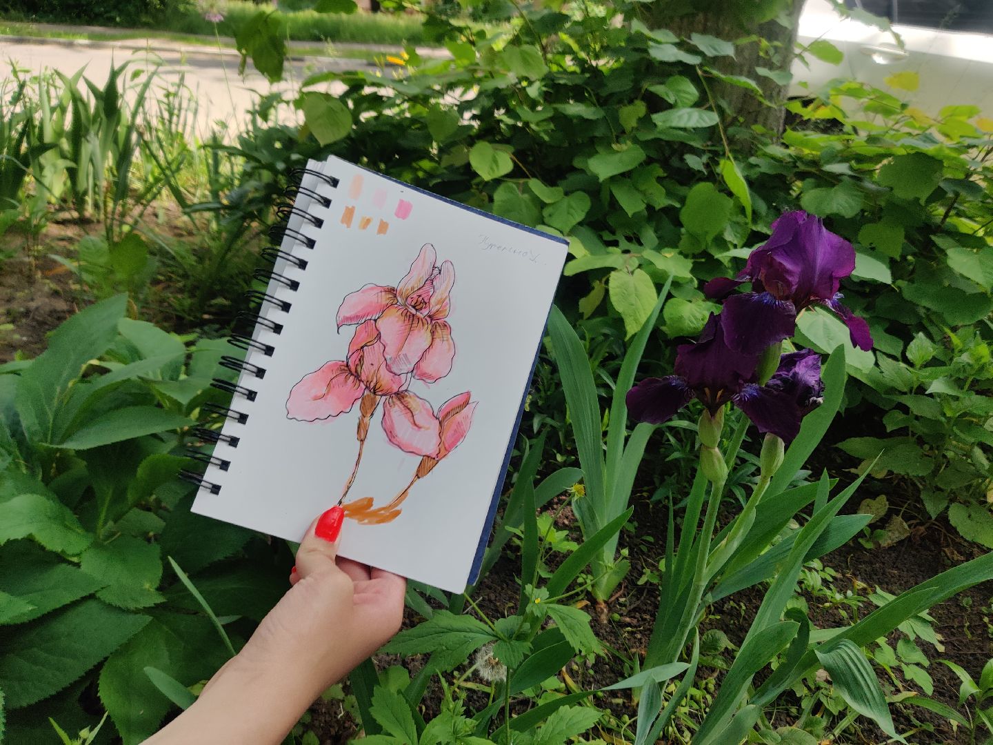 Красноармейск, Пушкинский, пленэр, юные художники, дополнительное образование