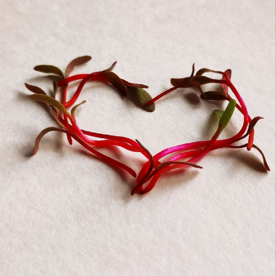 Звенигород, образование, бизнес-проекты, развитие предпринимательства, школа