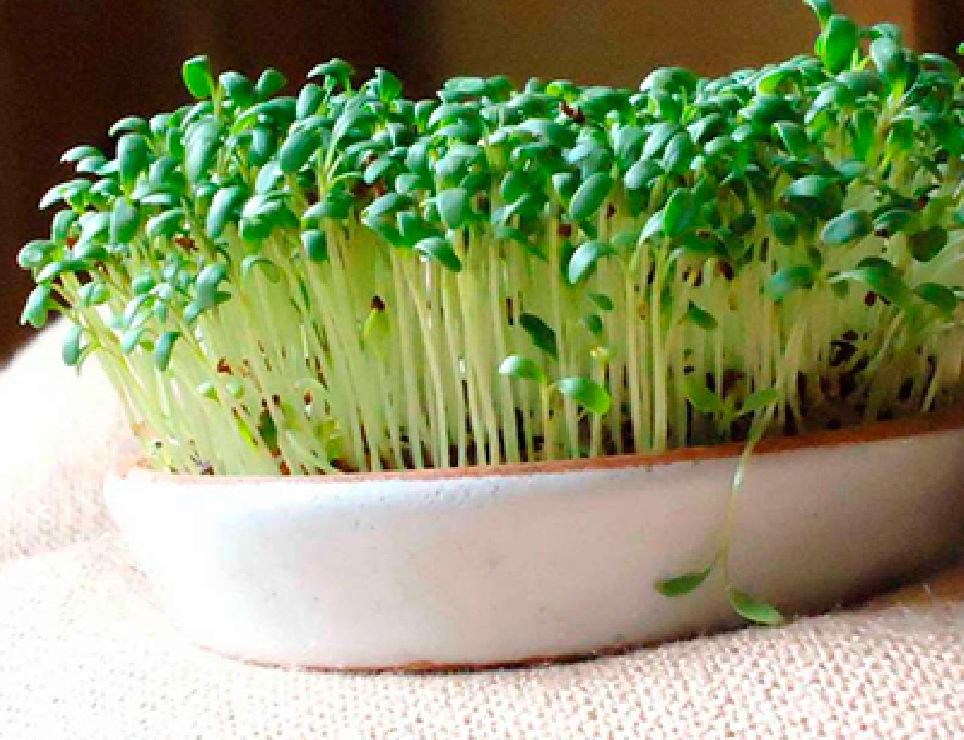 Звенигород, образование, бизнес-проекты, развитие предпринимательства, школа