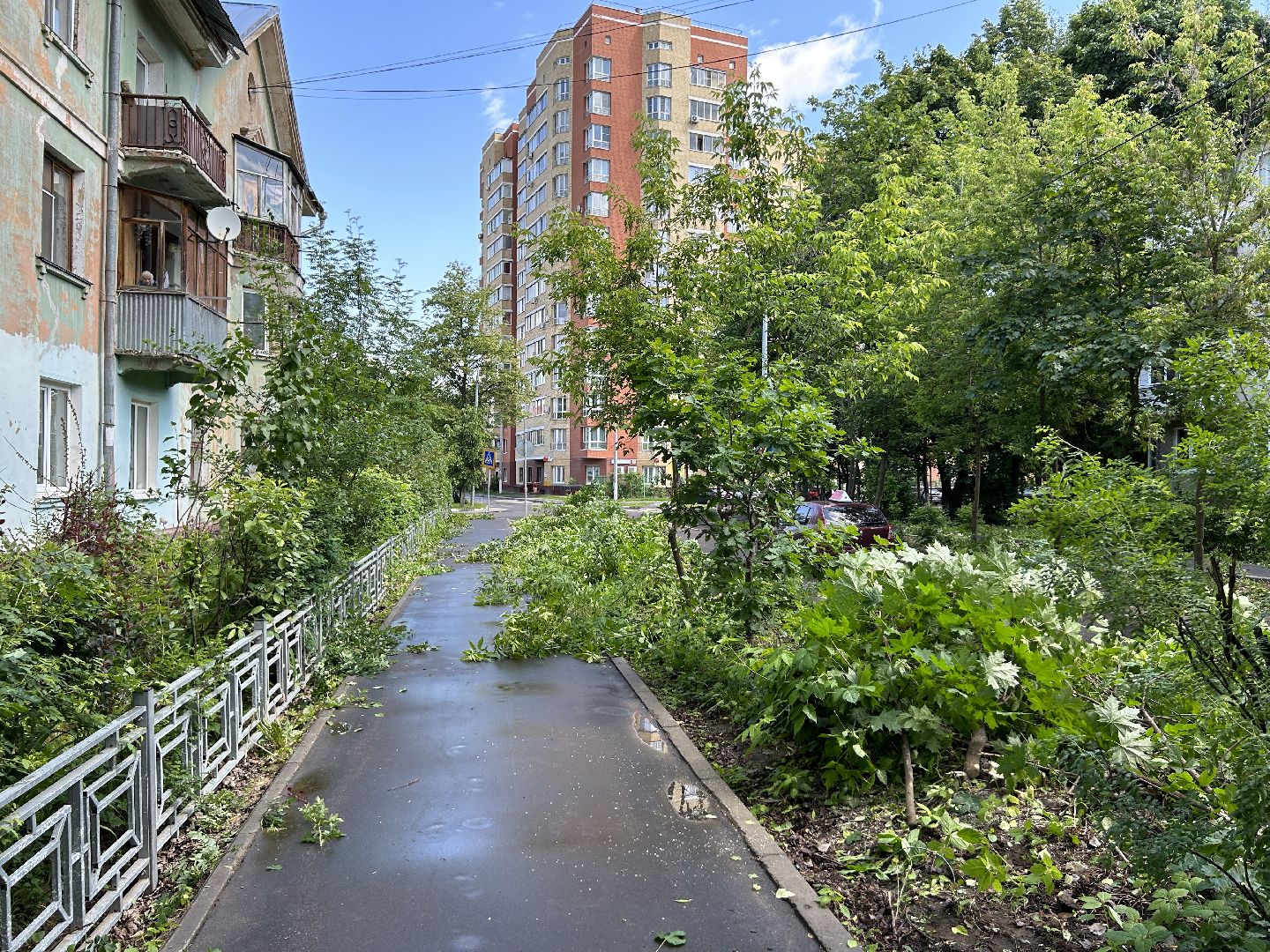 Благоустройство, коммунальные службы, Щелково