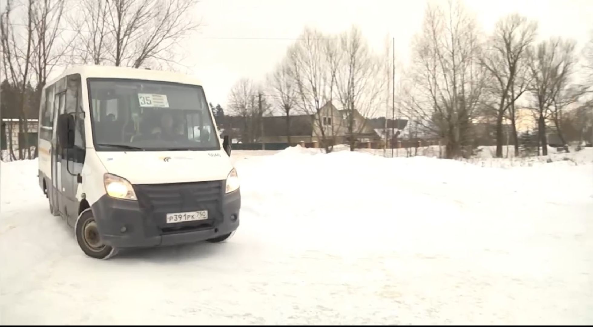 Щёлково, общество