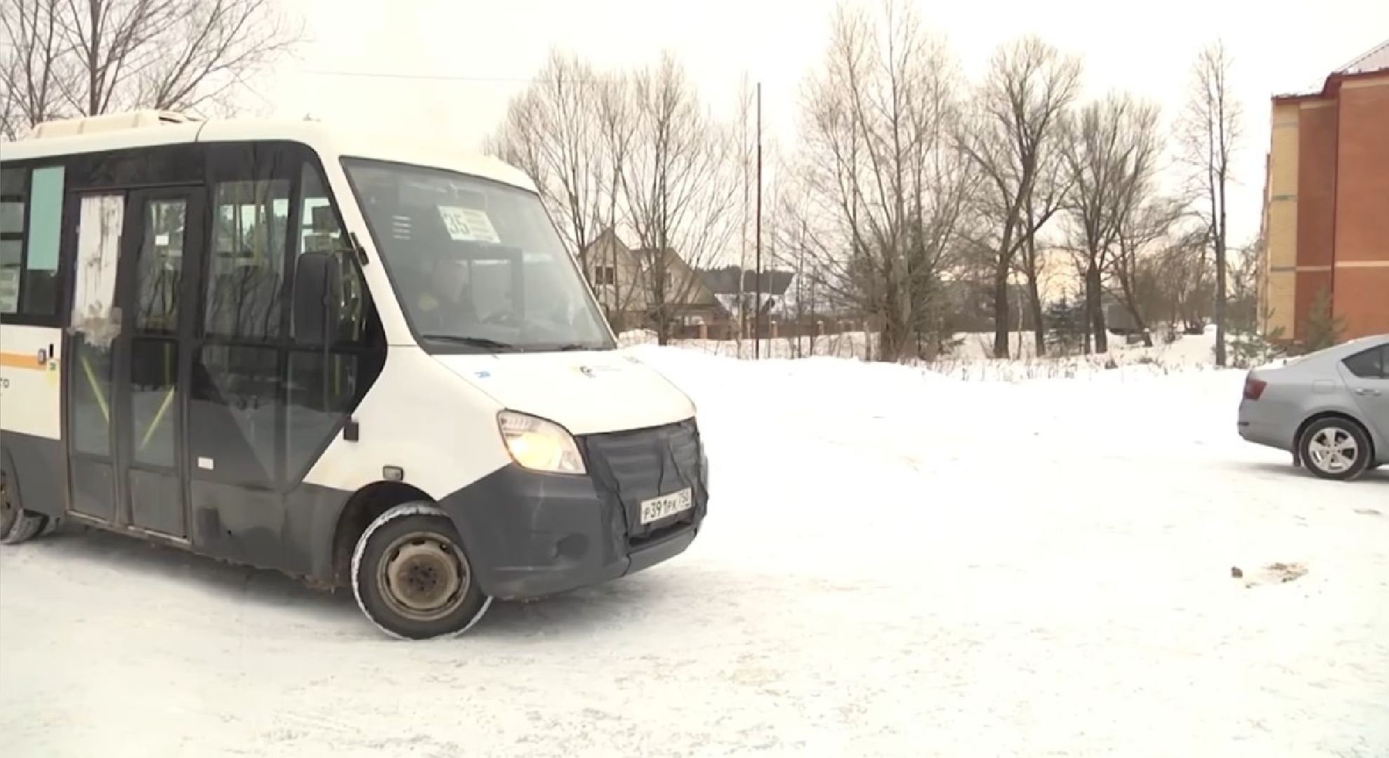 Щёлково, общество