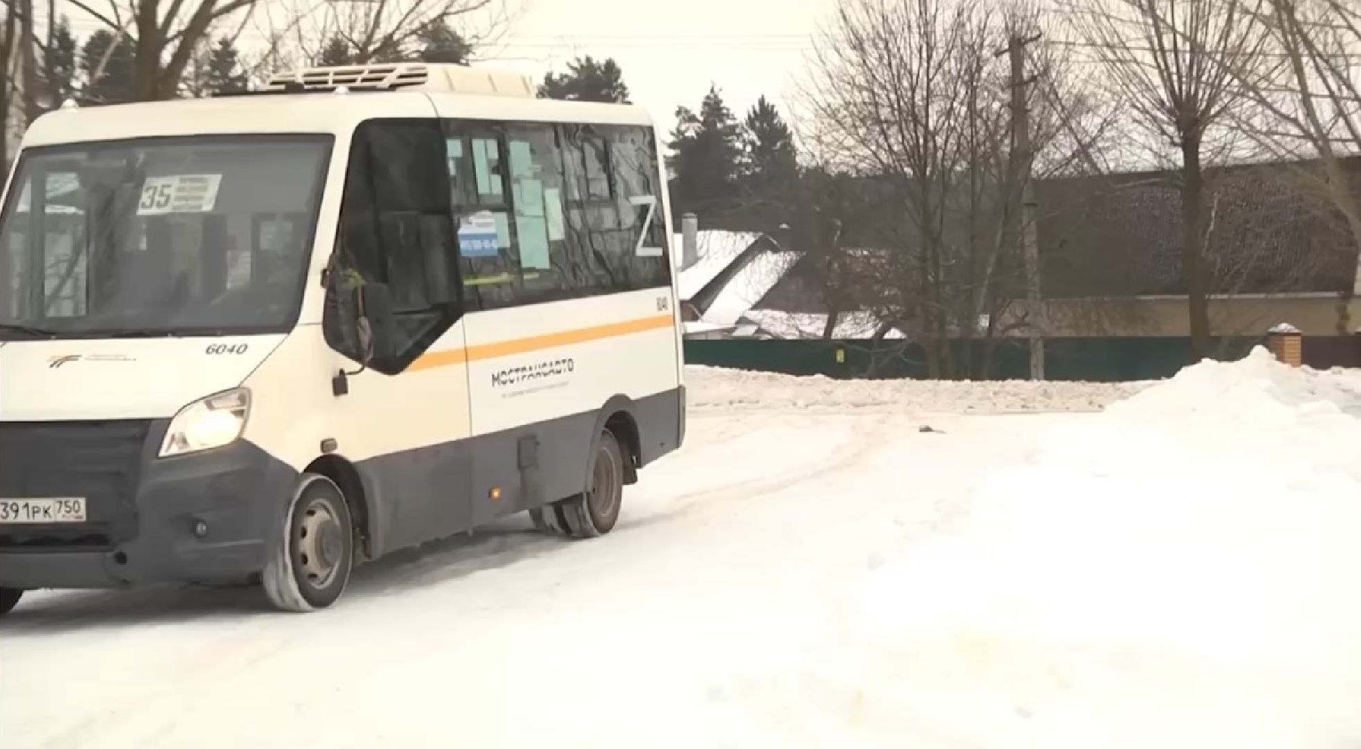 Щёлково, общество