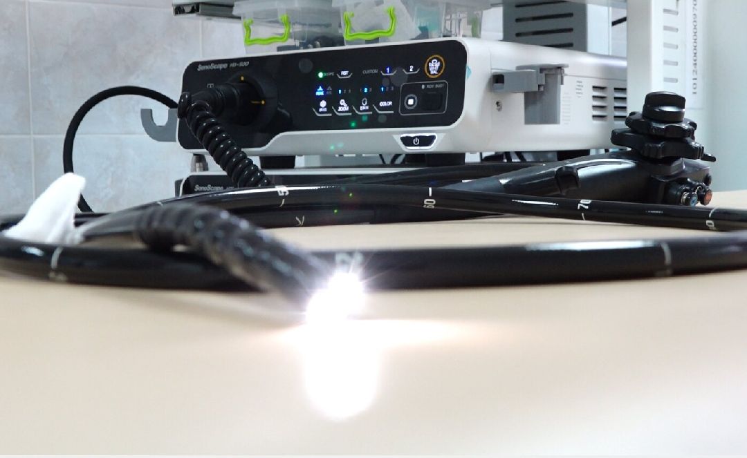 медицина, эндоскопия, Домодедово