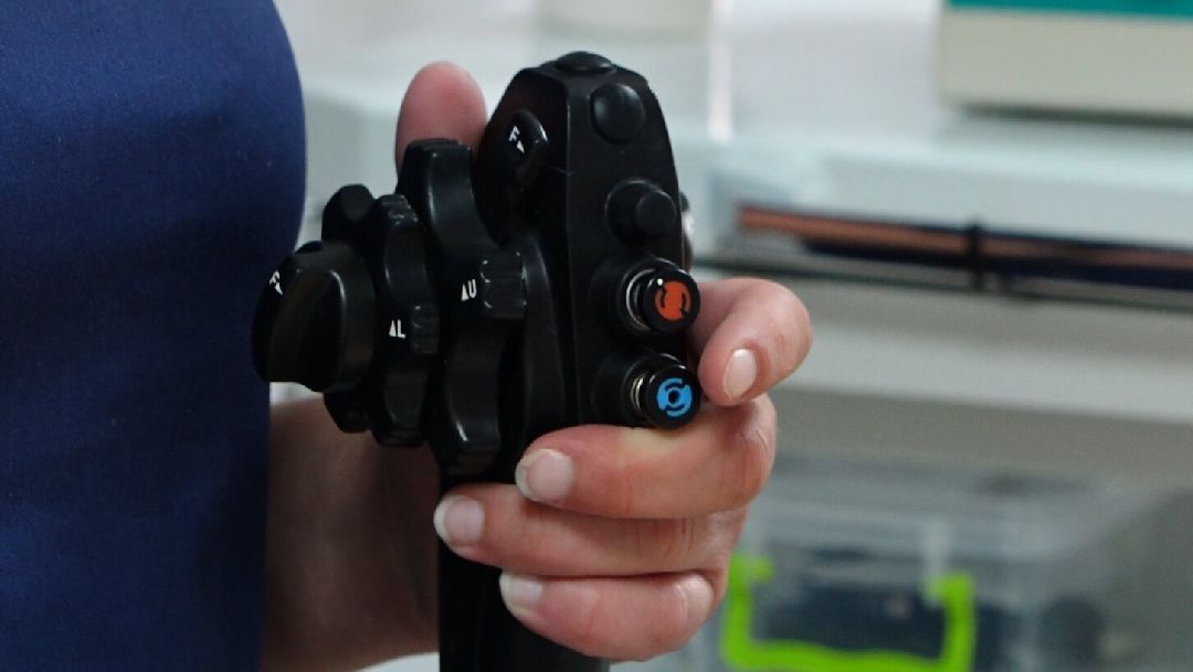 медицина, эндоскопия, Домодедово