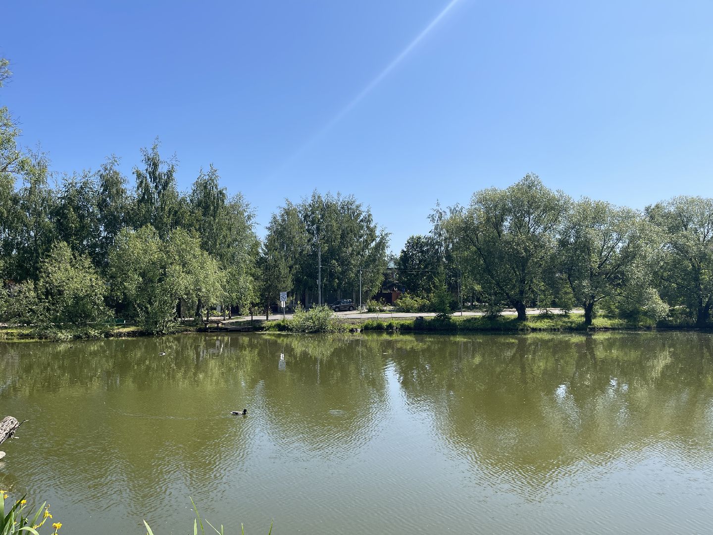 Одинцово, безопасность, купание, пруд, река, вода, спасатели,