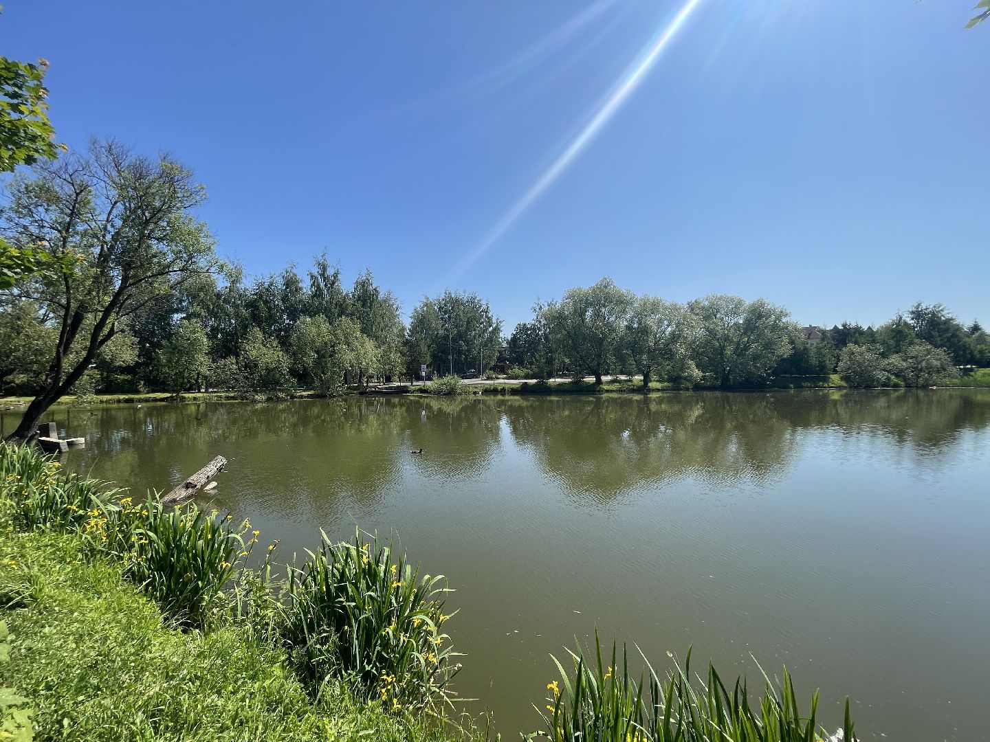 Одинцово, безопасность, купание, пруд, река, вода, спасатели,