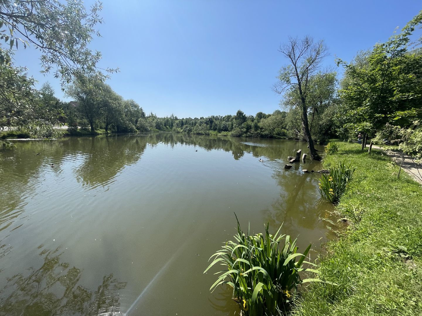 Одинцово, безопасность, купание, пруд, река, вода, спасатели,