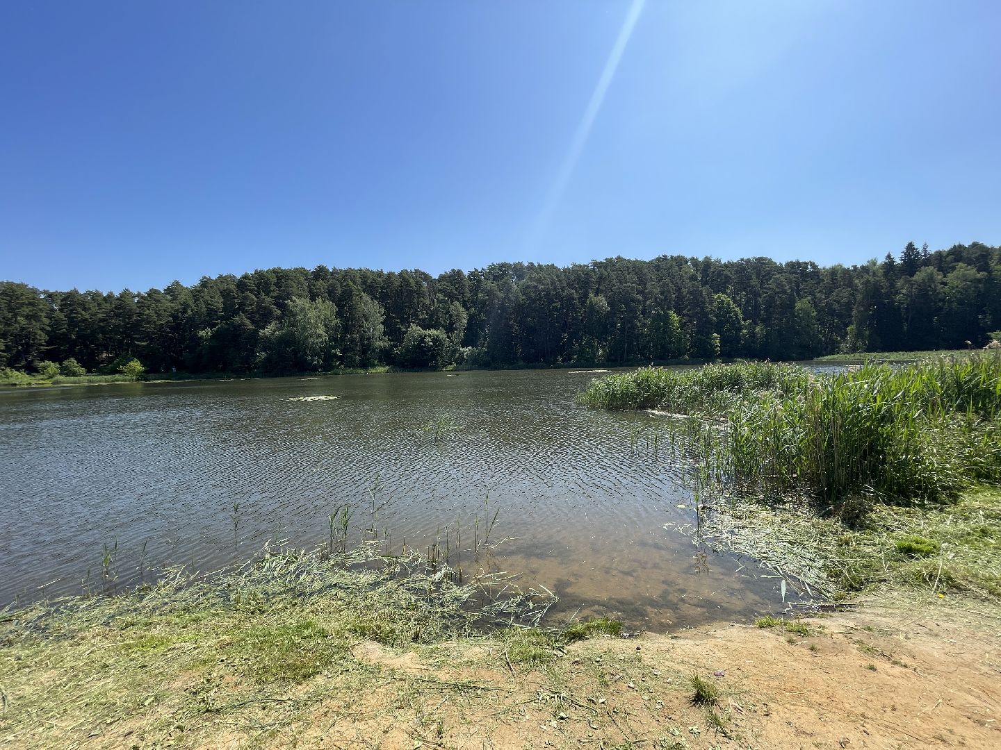 Одинцово, безопасность, купание, пруд, река, вода, спасатели,