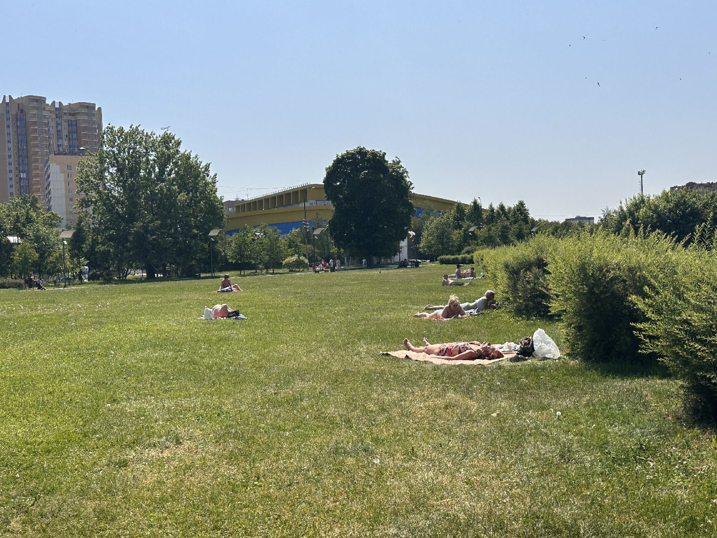 Пляжный сезон, Одинцово, нудизм, натуризм, пляж, отдых, девушки, загар