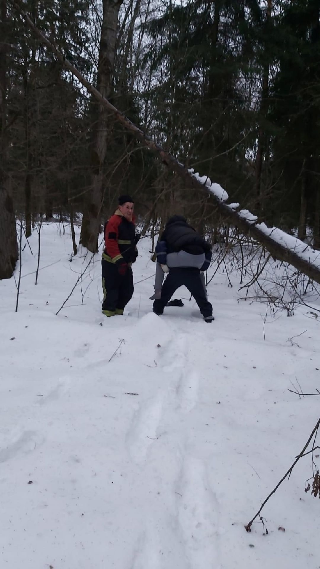 Щёлково, общество