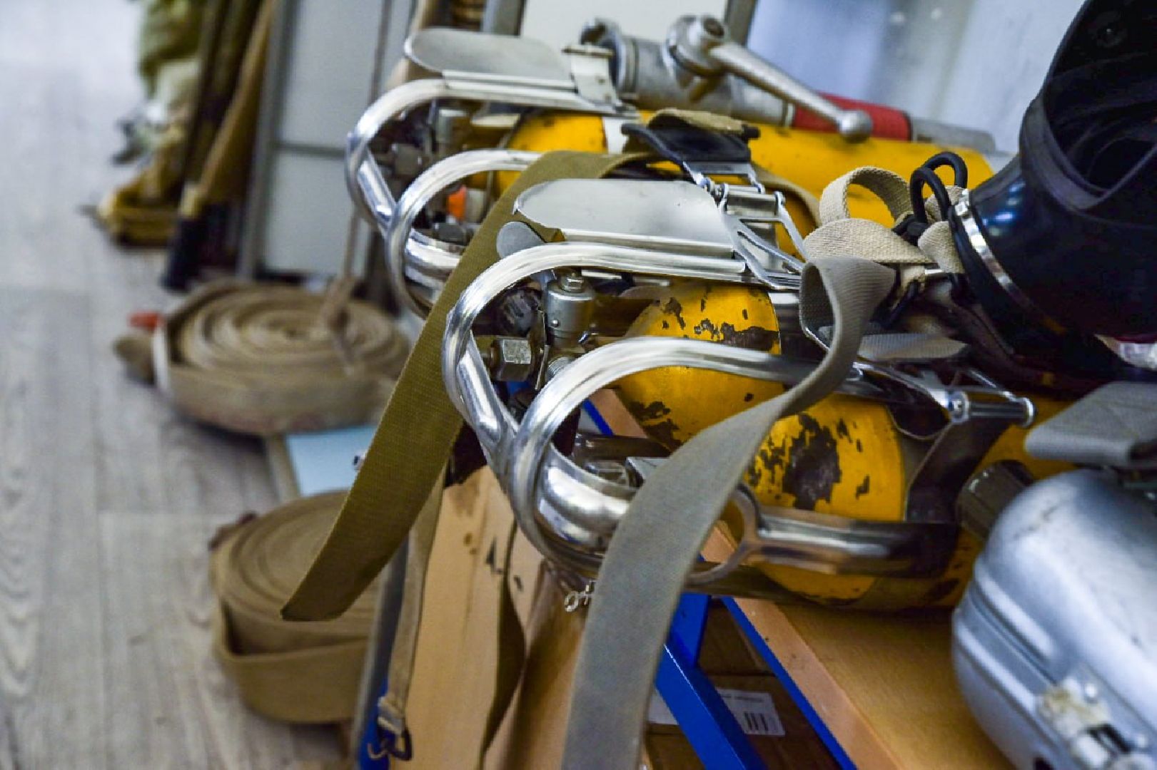 Солнечногорск, смена, дети, колледж, профессия