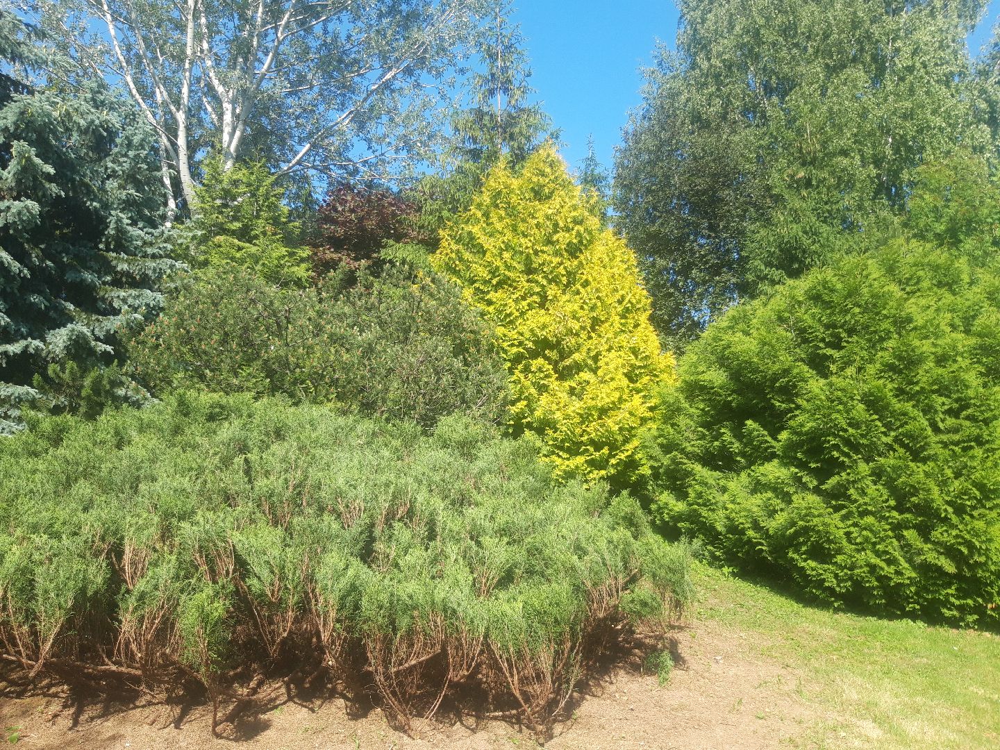 доброе дело, река, озеро,