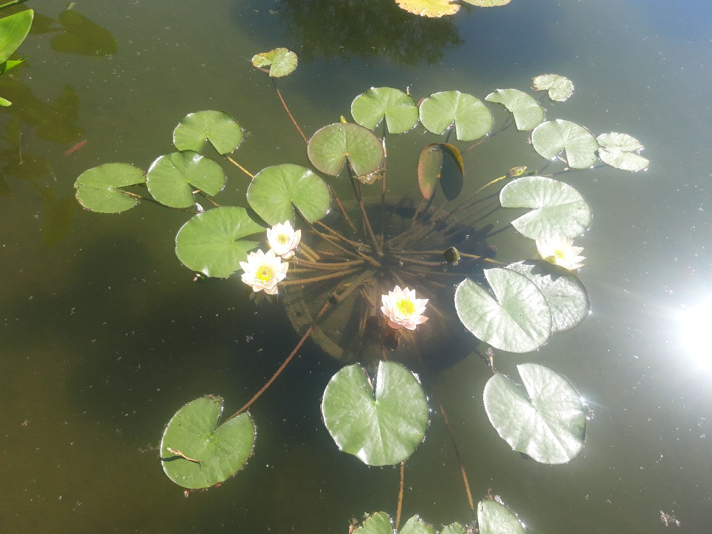 доброе дело, река, озеро,