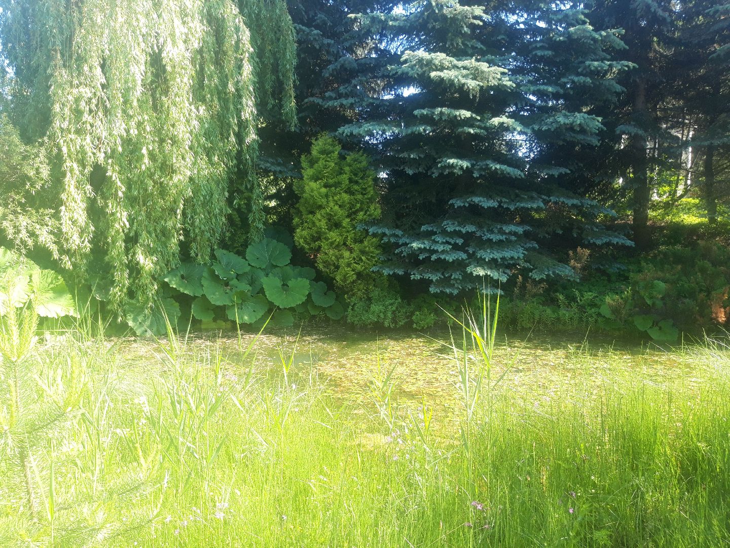 доброе дело, река, озеро,