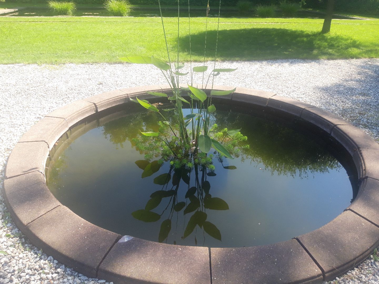 доброе дело, река, озеро,