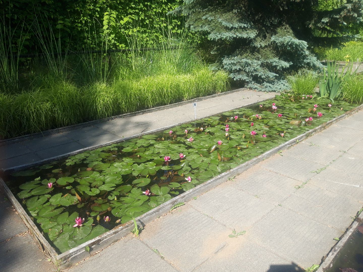 доброе дело, река, озеро,