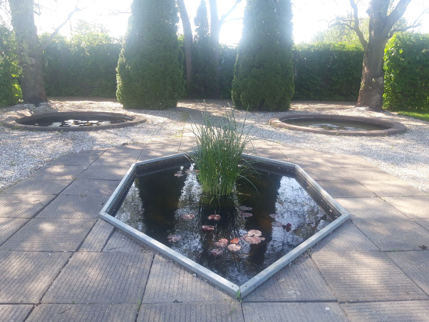 доброе дело, река, озеро,